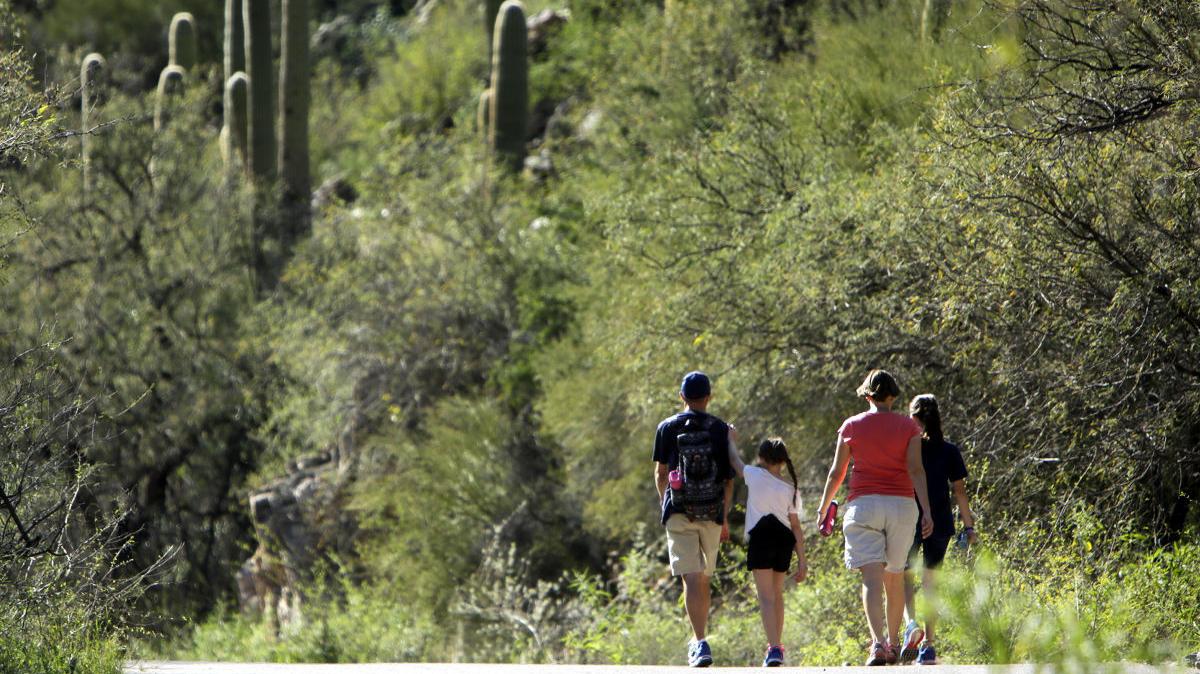 Sabino Canyon Hike